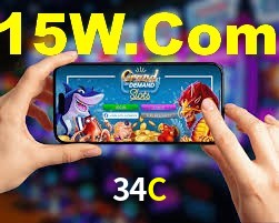 Programa VIP 34C